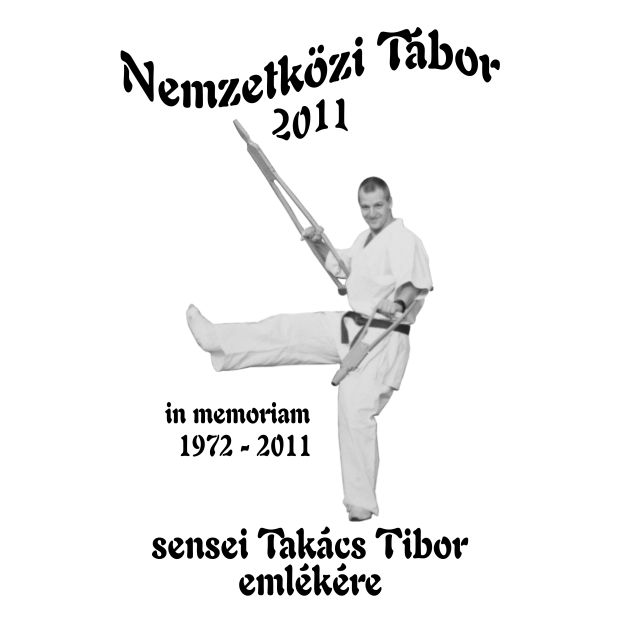 nyt2011 n2