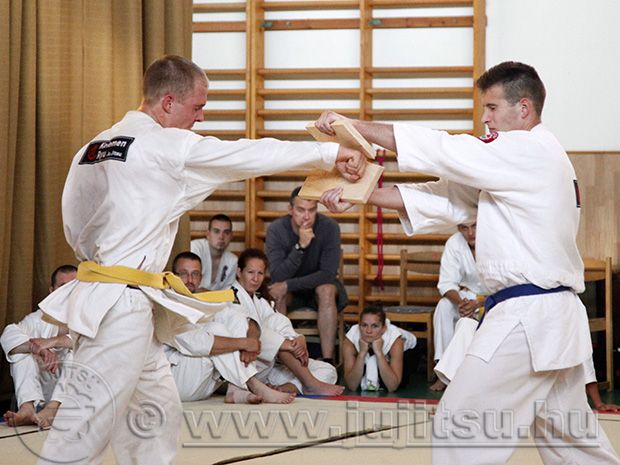 kapos20130627 10 n